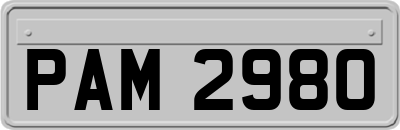 PAM2980