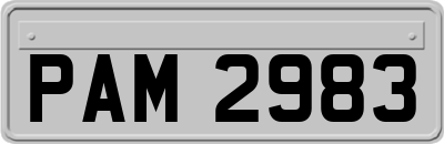 PAM2983