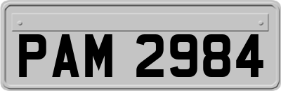 PAM2984