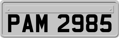 PAM2985
