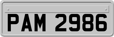 PAM2986