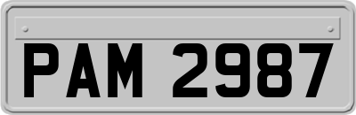 PAM2987