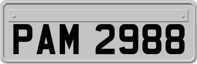 PAM2988