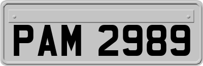 PAM2989