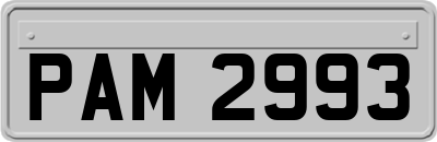 PAM2993