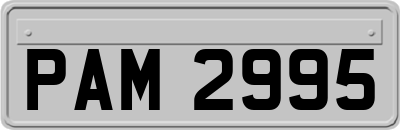 PAM2995