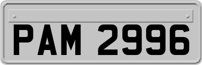 PAM2996