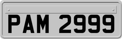 PAM2999