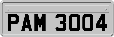 PAM3004
