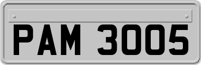 PAM3005