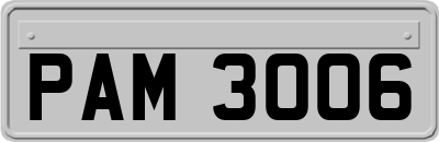 PAM3006