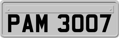 PAM3007