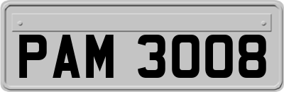 PAM3008