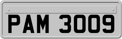 PAM3009