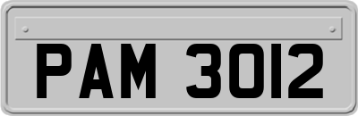PAM3012