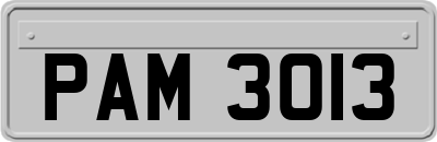 PAM3013