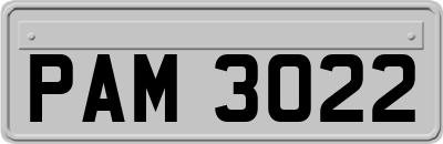 PAM3022