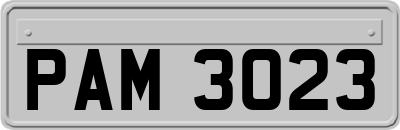 PAM3023