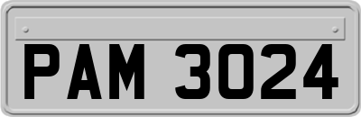PAM3024