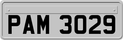 PAM3029