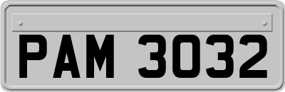 PAM3032
