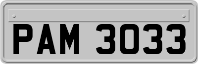 PAM3033