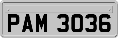 PAM3036