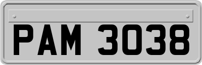 PAM3038