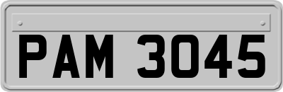 PAM3045
