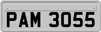 PAM3055