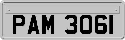PAM3061