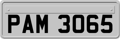 PAM3065