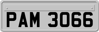 PAM3066
