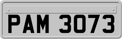 PAM3073