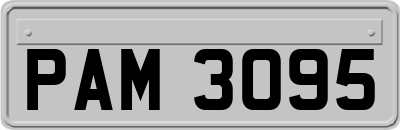 PAM3095