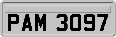 PAM3097
