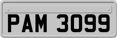 PAM3099