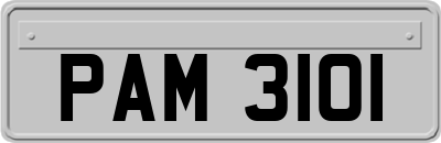 PAM3101