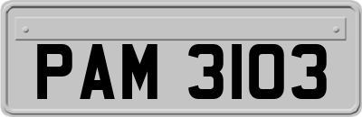 PAM3103