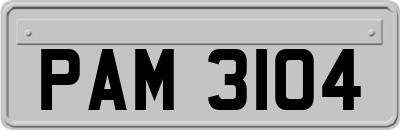 PAM3104