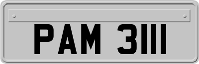 PAM3111
