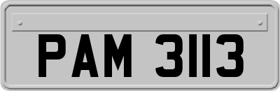 PAM3113