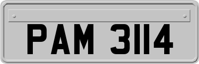 PAM3114