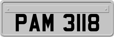 PAM3118