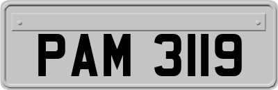 PAM3119