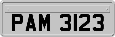 PAM3123