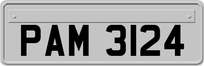 PAM3124