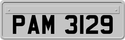 PAM3129