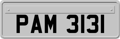 PAM3131