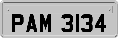 PAM3134